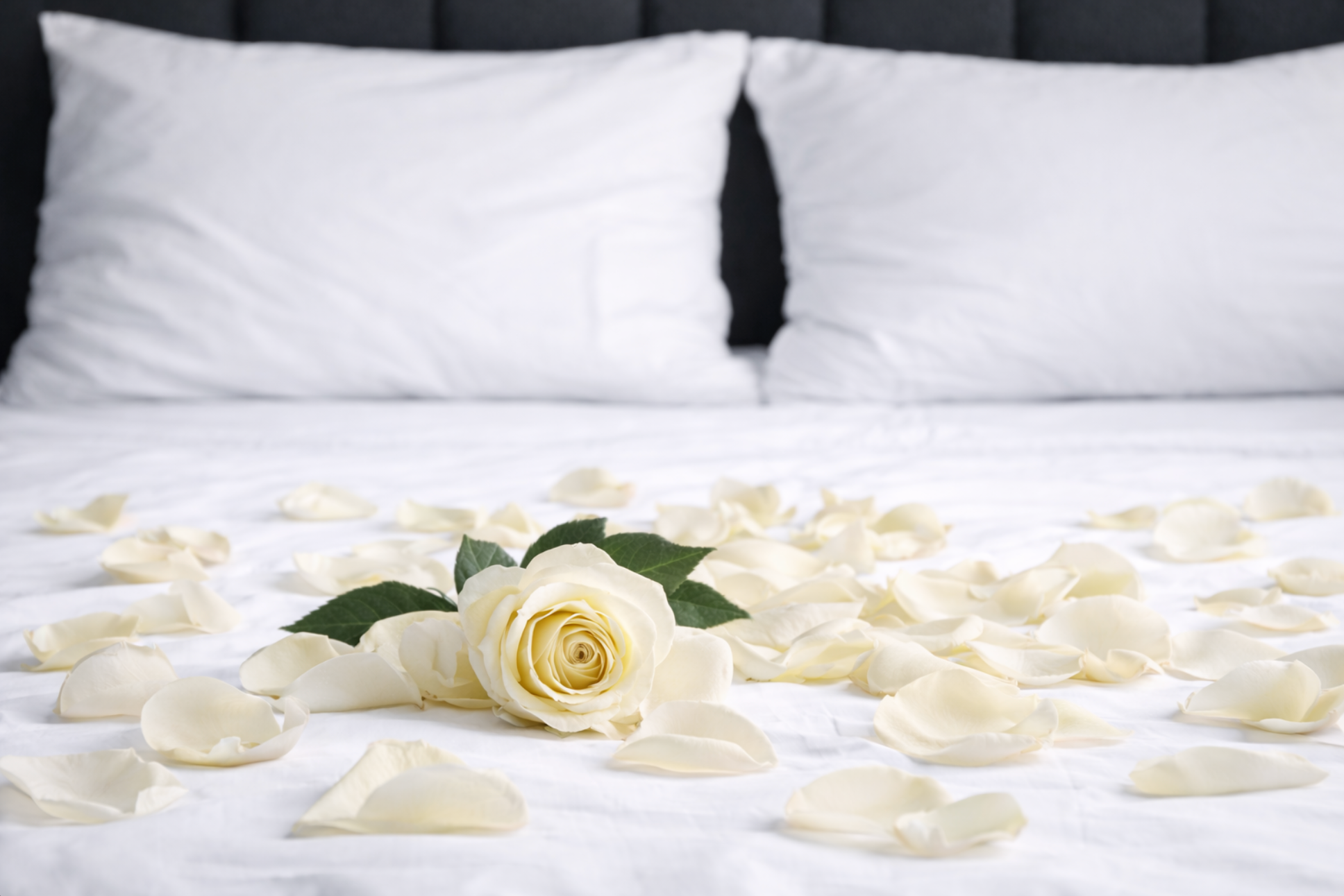 Pétales de Roses décoratif en soie Blanc